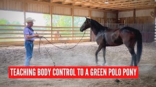 D/C TEACHING a GREEN POLO PONY BODY CONTROL  |  for Daniel Gallegos