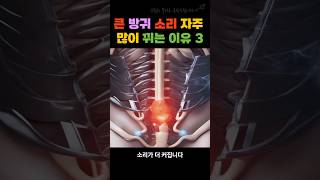 방귀 소리가 크고, 자주 많이 뀌는 이유 3가지 #fart