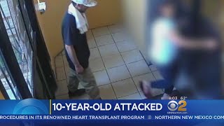 Police: 10-Year-Old Girl Attacked In The Bronx