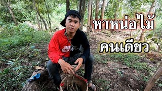 หาหน่อไม้ตามป่าธรรมชาติ #คนเดียว |ຫາໜ່ໍໄມ້ໄດ້ຫຼາຍຄັກ