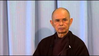 Why is everyone against me? | Thich Nhat Hanh answers questions