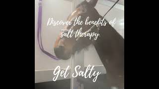 Equine Salt therapy Equineequilibrium.ca