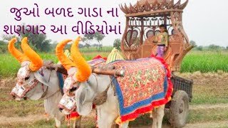 જુઓ બળદ ગાડા ના શણગાર આ વીડિયો માં આવા તમે ક્યારેય નહીં જોયા હોય વઢિયારા બળદ હો