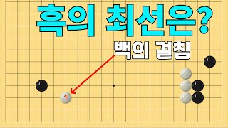 [초반50수] 화점 정석 선택 - 흑의 최선은?