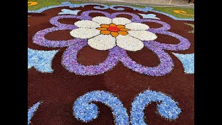 Alfombras florales / Flower Carpets  - Corpus Christi en Ponteareas (Galicia)