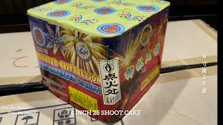 【Fireworks】4 inch high 25 Shoot Cake (ADN77) | 4 寸高25发烟花 （椰林风情）