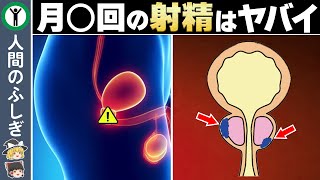 【男性必見】急増している前立腺ガンと驚きの予防方法【ゆっくり解説】