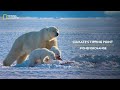 Climate's Tipping Point | #oneforchange | #earthday | हिन्दी | National Geographic