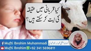 #muftiibrahimmuhammadi || Kia Qurbani May Aqiqa ki nait karsakty hay ? #Qurbani #Eid_ul_Adha