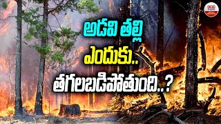 Uttarakhand Forest Incident :అడవి తల్లిఎందుకు త*గలబడిపోతుంది.? Uttarakhand Battles Eight New Blazes