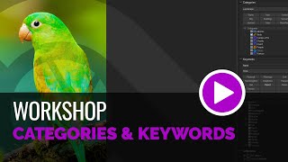 Categories & Keywords - Workshop