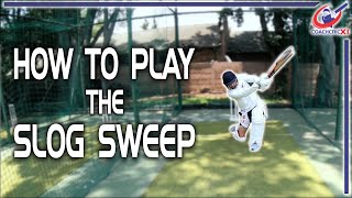 How to SLOG SWEEP | Batting Tips and Basics | Cricket Coaching