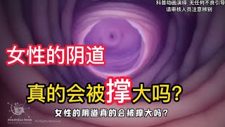 女性的阴道真的会被撑大吗？