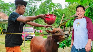 Tim Ser Naser Menggemparkan Dunia Persilatan Karapan Sapi Dengan Mentransfer Dari Tim Kanjeng Mami.