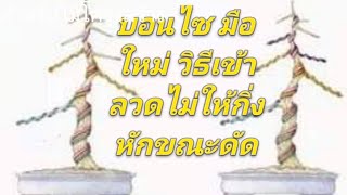 วิธีเข้าลวด#ไม่ให้กิ่งหัก#สำหรับมือใหม่