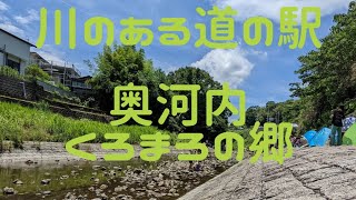 【大阪】川遊びができる道の駅『奥河内くろまろの郷』