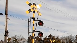 【踏切】小湊鉄道　警報灯の間隔が長い踏切 (Railroad crossing in Japan)