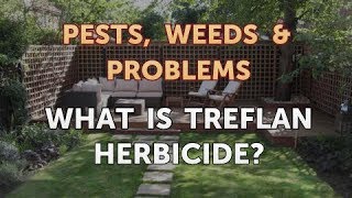 What Is Treflan Herbicide?