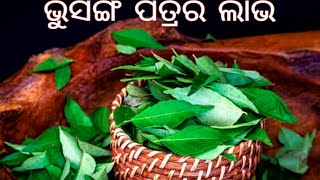 ଭୁସଙ୍ଗ ପତ୍ର ଖାଇବାର ୬ ଟି ବଡ଼ ଲାଭ ।