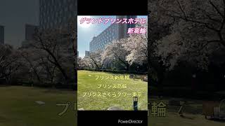 【大人のお花見スポット】グランドプリンスホテル新高輪🌸夜桜も綺麗なのでデートにオススメ！ #プリンスホテル #お花見 #お花見デート#マリオット  #shorts @revenge0129