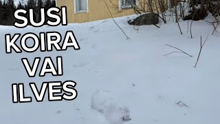 Nyt selvis mikä peto on pihassa käyny,EI KIVA!