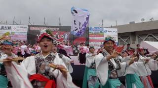 かしよさ！・夢舞隊・八重櫻　合同演舞　香芝よさこい