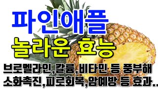 [파인애플 효능] \