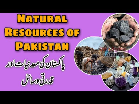 What are the important natural resources of Pakistan?