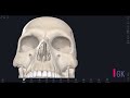 topography of skull the orbit nasal cavity hard palate