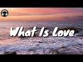 Max Oazo - What Is Love ft. CAMI (Lyrics/Lyric Video)