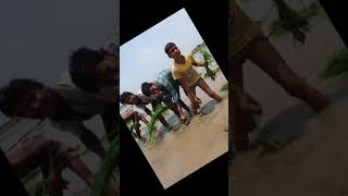 farmers ❤proud off#farmer#kisaan#loving#shorts#video