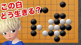 【囲碁】超難問！？隅の急所と黒の反撃には要注意‼︎【囲碁講座】【詰碁・手筋講座】