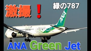 ✈✈RJTT羽田空港 特別塗装機「ANA Green jet（ANAグリーンジェット）「エコボン」以来約4年ぶりの緑の飛行機ANA全日空  All Nippon AirwaysBoeing 787-9