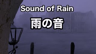 The sound of natural rain. For sleep, rest, contemplation, research, work [ASMR]