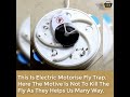 inside an electric fly trap electronic housefly trap automatic electronic fly trap