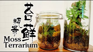 就地取材自製苔蘚瓶景【 Making a Bottle Terrarium 】Hong's DIY 001