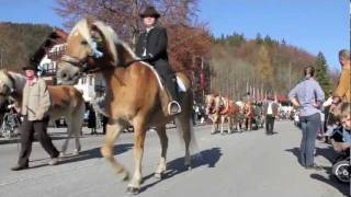 Leonhardifahrt und Leonhardiritt Kreuth 2011 -  Umzug am 6.11.2011