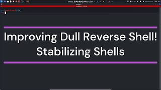 How to Improve your Dull Reverse Shell (Stabilizing Shells) ?