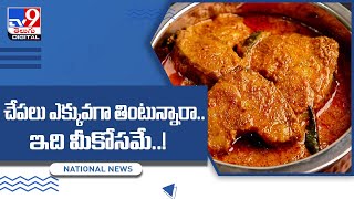 Health Benefits of Fish - : చేపలు ఎక్కువగా తింటున్నారా... ఇది మీకోసమే..! - TV9