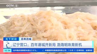 [天下财经]百年百城 辽宁营口：百年港城开新局 渤海明珠育新机|CCTV财经