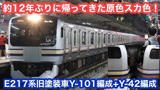 【約12年ぶりの復活】 横須賀線・総武快速線E217系旧塗装Y-101編成×Y-42編成@東京・横浜 2024.11.7