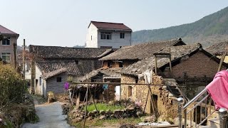 Capable Girl who failed in business returns to rural area to renovate old house