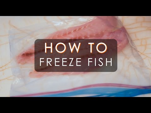 How to freeze fish