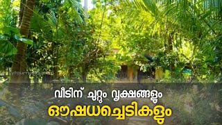 വീടിന് ചുറ്റും വൃക്ഷങ്ങളും ഔഷധച്ചെടികളും; ഇരുന്നൂറിലേറെ ഔഷധ സസ്യങ്ങളും വൃക്ഷങ്ങളുമുണ്ട്