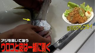 簡単にアジをさばいて鯵料理！ウロコはまとめて剥ぐ！アジフライがおいしすぎた