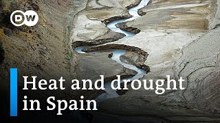 40°C: Record breaking April temperatures worsen Spain's drought crisis | DW News | DW News