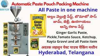 Paste Ginger Garlic, Tomato Sauce, Chatni, Pickle Pouch Packing Machine. All type of pastes