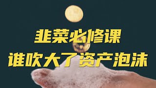 韭菜必修课 谁吹大了资产泡沫｜危机博士 Dr. Crisis