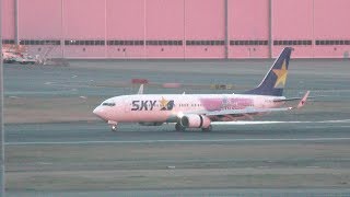 ✈[4K] タカガール色に染まるタカガールジェット SkyMark B737 JA73NJ @Haneda Airport(羽田空港)