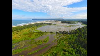 Grant's Getaways:  Sitka Sedge State Natural Area